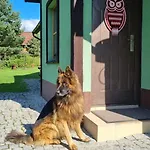 Dach Pod Sową Ludwikowice Kłodzkie