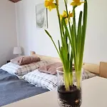 Dach Pod Sową