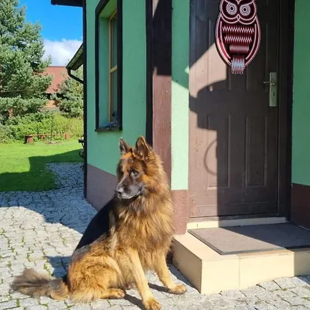 Dach Pod Sowa Ludwikowice Kłodzkie