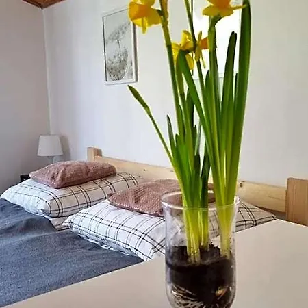 Gerendaház Dach Pod Sowa *