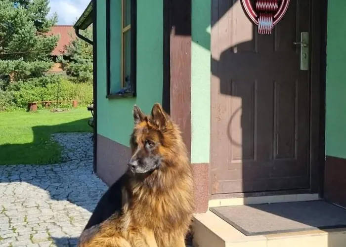 Dach Pod Sowa لودفيكوفيتسا كواتسكي