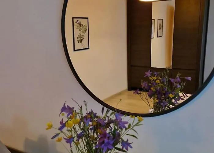 Dach Pod Sowa بيت خشبي