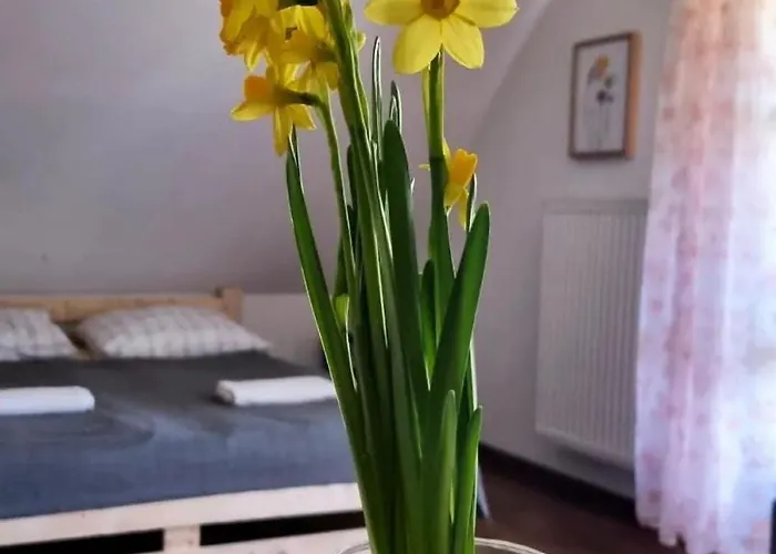 بيت خشبي Dach Pod Sowa *