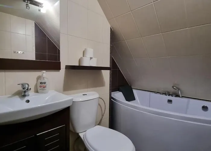 Dach Pod Sowa بيت خشبي