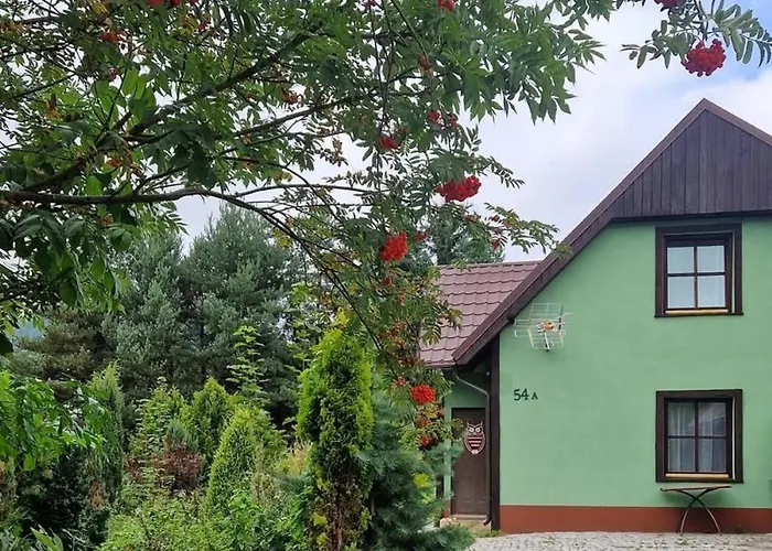 بيت خشبي Dach Pod Sowa